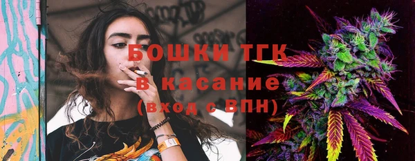 соль ск Алексеевка