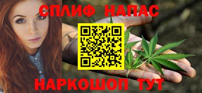 ALPHA PVP Бердск