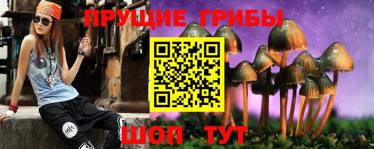 Галлюциногенные грибы Magic Shrooms Благодарный